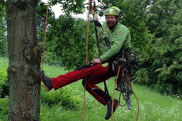 Pressefoto Baumpflege 1