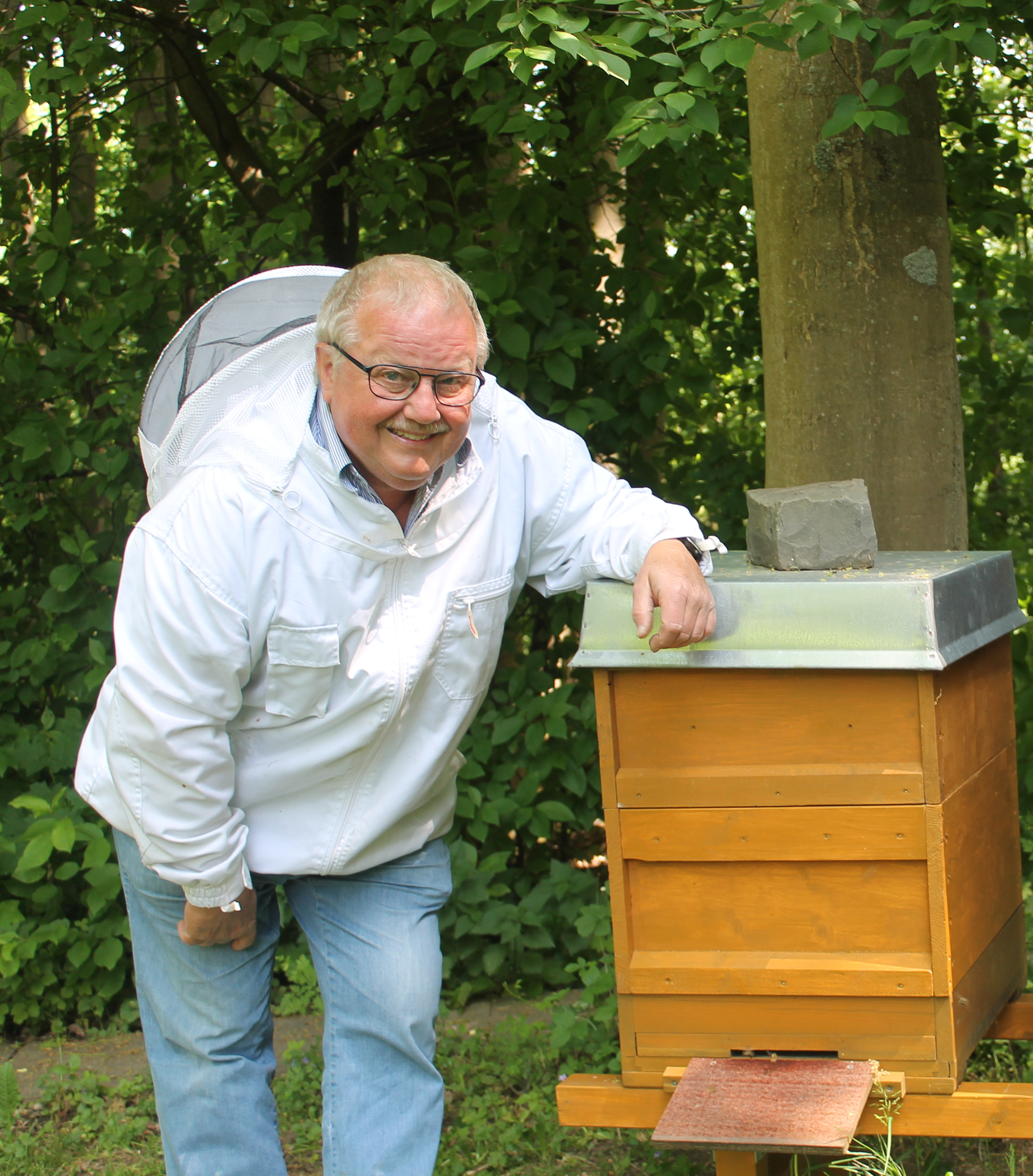 Bienensterben