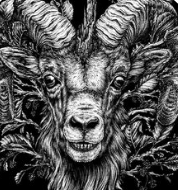 Goat Djini